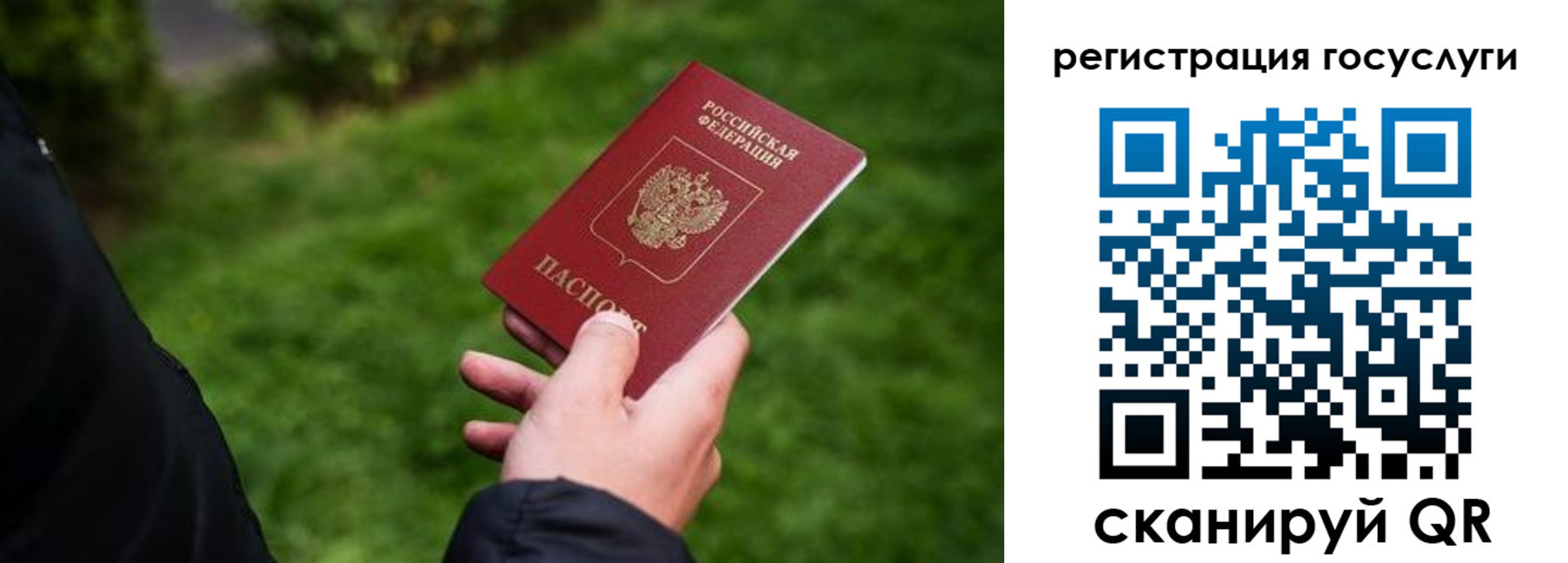 прописка в Тосно