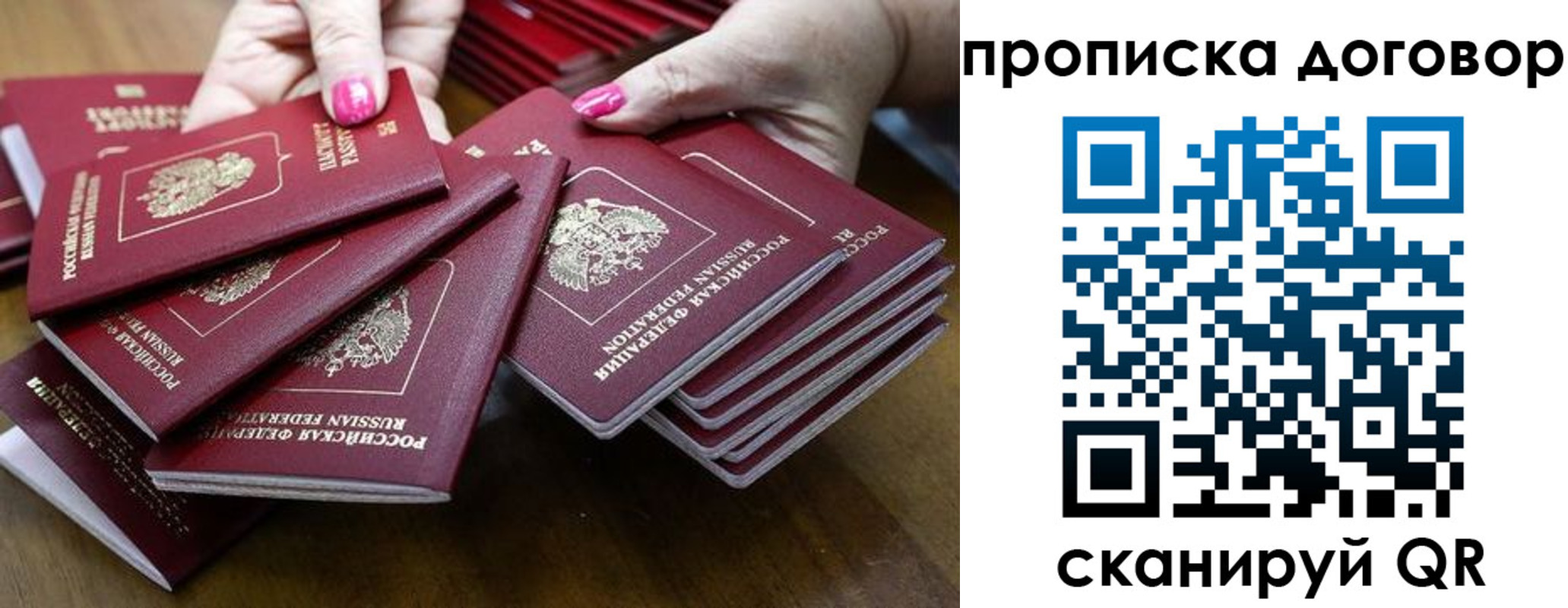 прописка в Тосно